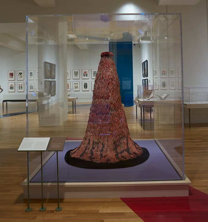 17th century feathered cape