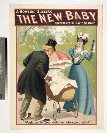 The new baby : a howling success chaperoned by David DeWolf