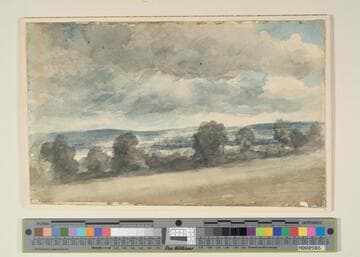 Storm Over the Trees