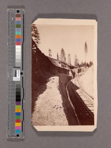 Hornet Hill Cut, West of Gold Run. 50 feet deep