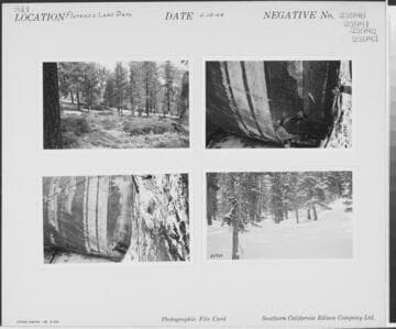 Big Creek, Florence Lake Dam