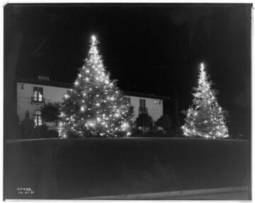 L1.1 - Lighting, misc. - Christmas lighting