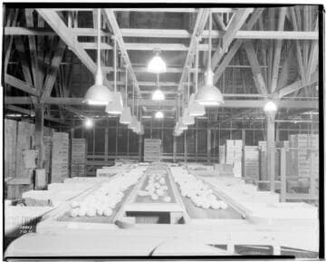 L1.8 - Lighting, Packing Plants