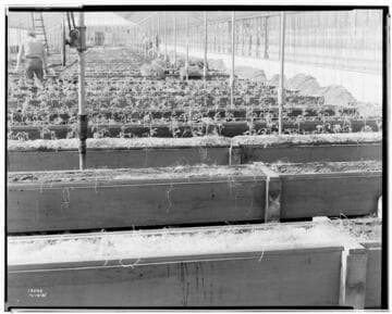 N1 - Nurseries & Soil Heating