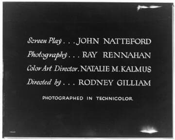 D2.1 - Displays, misc. - Modern Kitchen for "Dinner For Eight" film