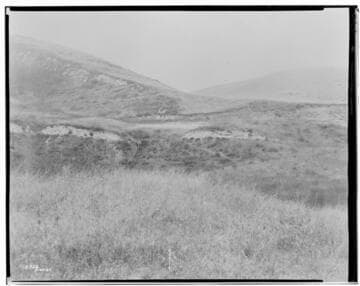 Distribution Lines - Ringe Estate