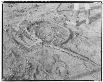 Eagle-Bell Transmission Line - Forest Fire above Altadena