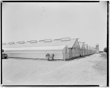 N1 - Nurseries & Soil Heating - Greenhouse