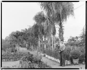 N1 - Nurseries & Soil Heating