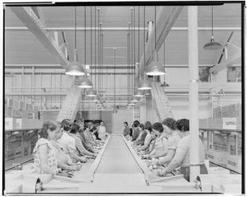 L1.8 - Lighting, Packing Plants - Seaboard Lemon Assoc. Packing House