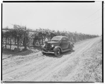 Vincent Transmission Line