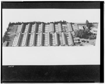 P2 - Poultry - Poultry Ranch aerial view