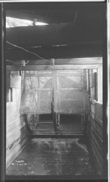 A1.4 - Natural Disasters