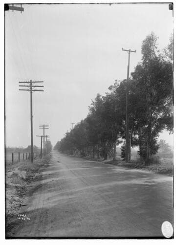 Distribution Lines - Pole line