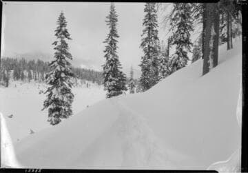 Big Creek after snow storm