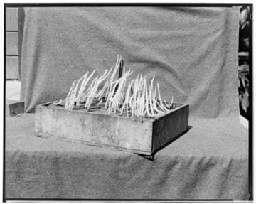 I1 - Insectary - Santa Paula