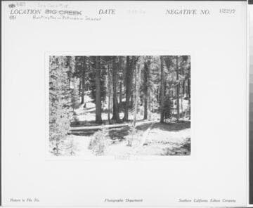 Big Creek, Huntington-Pitman-Shaver Diversion