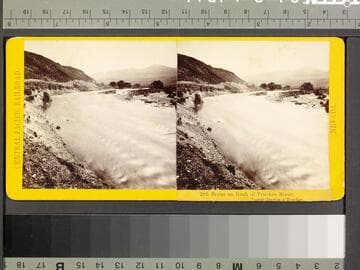 295. Scene on Bank of Truckee River