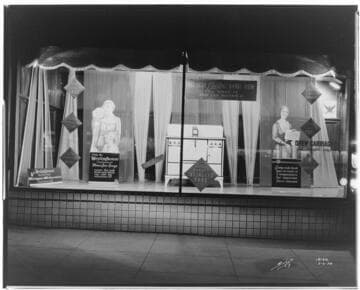 D2.3 - Displays, Window