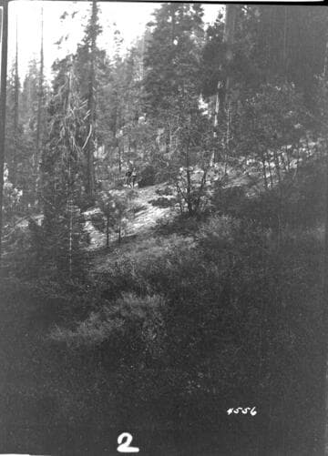 Big Creek, Shaver Lake Dam - Shaver Project