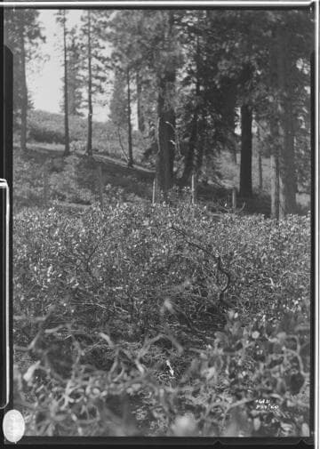 Big Creek, Florence Lake Dam