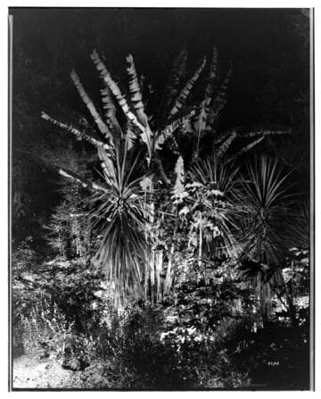 L1.1 - Lighting, misc