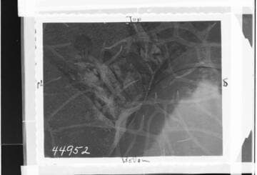 Long Beach Steam Station, Plant #3