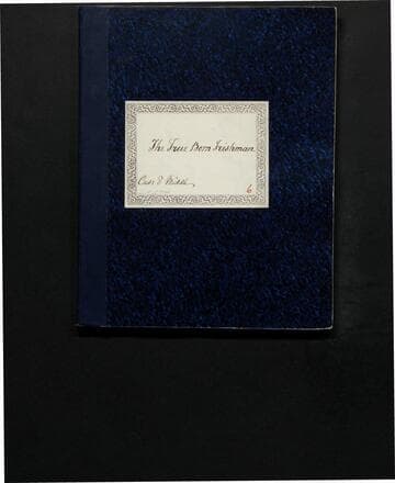 The True-born Irishman