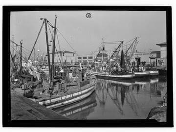 Fisherman's Wharf, San Francisco