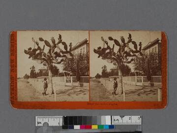 Street view in Los Angeles