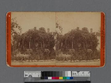 View of a garden and house