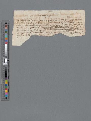 Unidentified Author: fragment of draft of letter