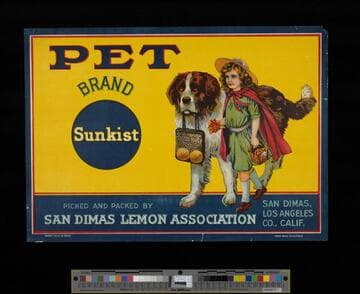 Pet Brand