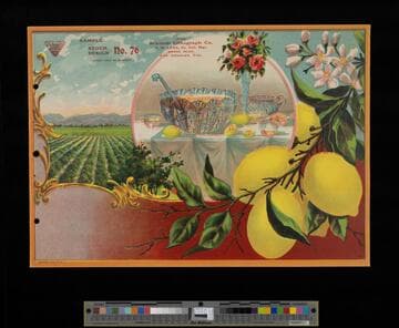 Stock label: lemons on branch, table with punch bowl, lemon groves