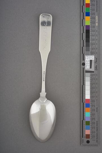 Large Spoon