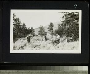 Go to image 11.
