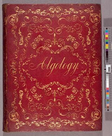 Algae and corallines, of the Bay and Harbor of New York : illustrated with natural types
