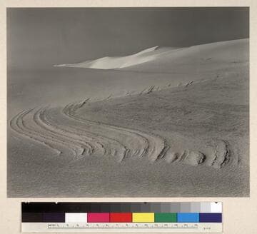 White Sands, New Mexico