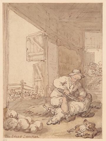 The Sheep Shearer