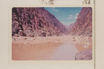 Down Sockdologer Rapid