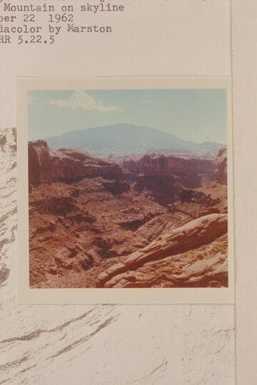 Up Nasja Creek to the junction with Bald Rock Creek. Navajo Mountains on skyline