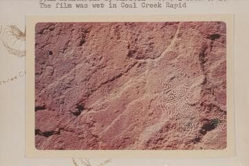 DJ register at mouth of Chandler Creek