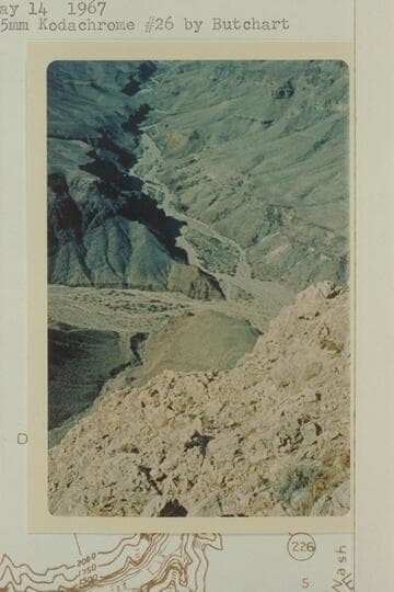 Diamond Creek and Peach Springs Wash