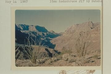 Peach Springs Wash from Diamond Pass