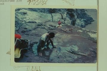 Mud baths in Pumpkin Spring.  About 4 PM