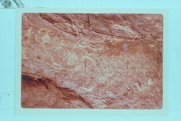 The 1836 D. Julien inscription, Mile 185.75 left bank