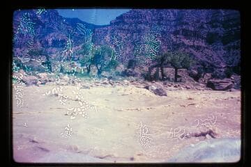 Desolation Canyon, June 1969