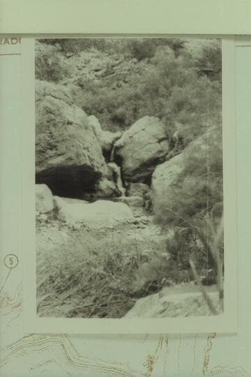 Stream in Big Canyon, a tributary of the Little Colorado.  Mile 7