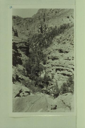 Thunder River; branch of Tapeats Creek