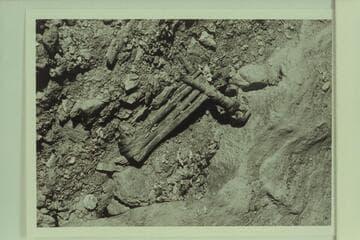 Split Twig Figurine.  In Stanton Cave as it was found by George Beck in 1967